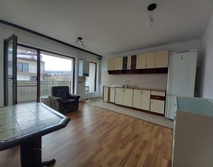 Appartement 1 chambres à louer dans Cluj-napoca, zone Borhanci