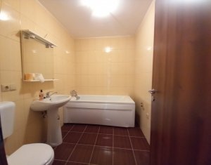 Appartement 1 chambres à louer dans Cluj-napoca, zone Borhanci