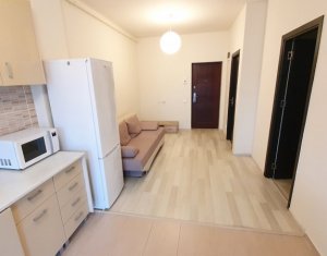 Lakás 2 szobák kiadó on Cluj-napoca, Zóna Intre Lacuri