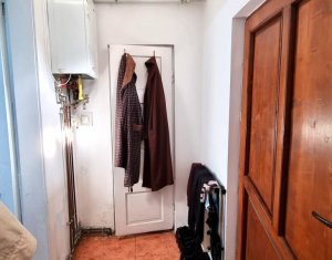 Maison 1 chambres à vendre dans Cluj-napoca