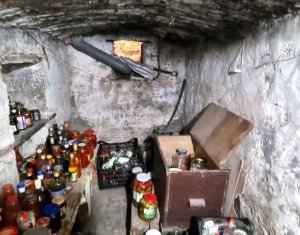 Maison 1 chambres à vendre dans Cluj-napoca