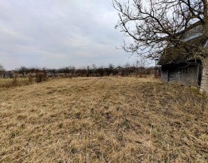 , 1178m2 dans Apahida