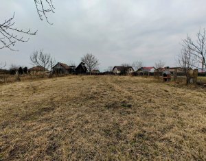 Terrain à vendre dans Apahida