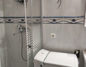 Appartement 1 chambres à louer dans Cluj-napoca, zone Centru