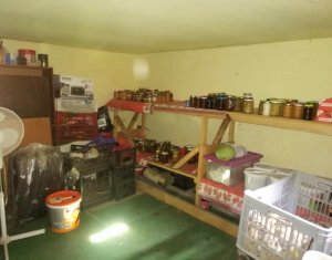 Maison 3 chambres à vendre dans Cluj-napoca, zone Marasti