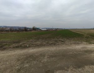 Land for sale in Apahida