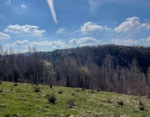 Teren cu panorama pentru cabana, Risca, Valea Fericirii