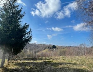 Teren cu panorama pentru cabana, Risca, Valea Fericirii