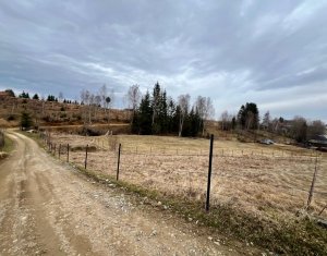 Land for sale in Rasca
