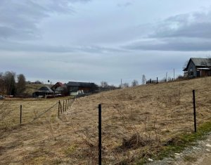Terrain à vendre dans Rasca