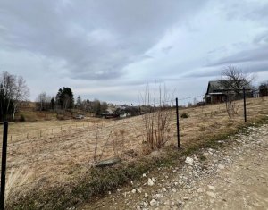 Terrain à vendre dans Rasca