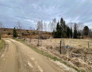 Terrain à vendre dans Rasca