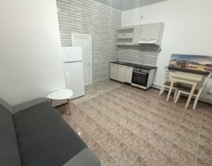 Appartement 2 chambres à louer dans Cluj-napoca, zone Centru
