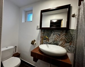 Studio à louer dans Cluj-napoca, zone Grigorescu