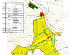 Terrain à vendre dans Corusu
