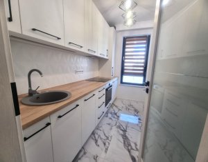 Appartement 2 chambres à louer dans Cluj-napoca, zone Intre Lacuri