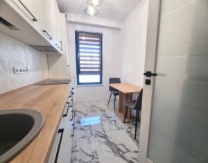 Appartement 2 chambres à louer dans Cluj-napoca, zone Intre Lacuri