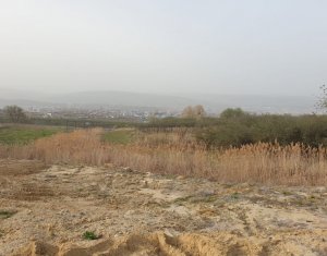 , 785m2 dans Cluj-napoca, zone Faget