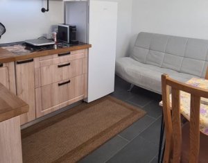 Maison 2 chambres à vendre dans Cluj-napoca, zone Manastur