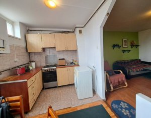 Studio à vendre dans Cluj-napoca, zone Gheorgheni