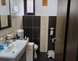 Casa-vila, 7 cam., 418 m.p., 2000 m.p. teren, Dambul Rotund, zona linistita 