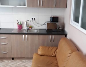 Appartement 2 chambres à louer dans Cluj-napoca