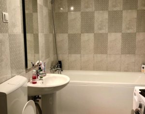 Appartement 2 chambres à louer dans Cluj-napoca