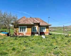 , 50m2 on Dosu Napului, Zóna Centru