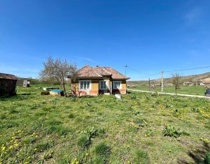 Ház 2 szobák eladó on Dosu Napului, Zóna Centru