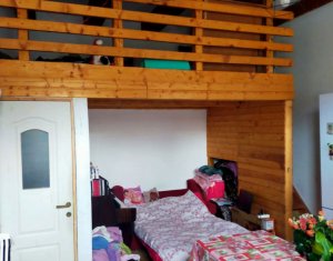 Appartement 1 chambres à vendre dans Cluj-napoca, zone Centru