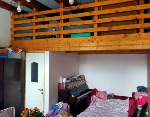 Appartement 1 chambres à vendre dans Cluj-napoca, zone Centru