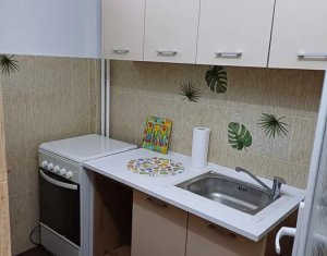 Studio à vendre dans Cluj-napoca, zone Manastur
