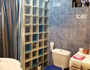 Maison 2 chambres à vendre dans Cluj-napoca, zone Dambul Rotund