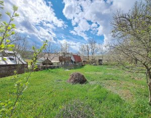 Ház 2 szobák kiadó on Moristi