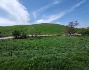 Maison 2 chambres à vendre dans Visea