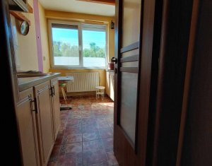 Appartement 2 chambres à louer dans Cluj-napoca, zone Centru