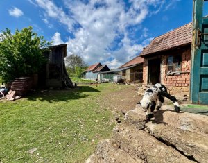 Exclusivitate ! Pozitie excelenta, casa Savadisla