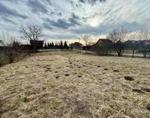 Maison 8 chambres à vendre dans Savadisla, zone Centru