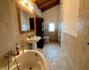 Maison 8 chambres à vendre dans Savadisla, zone Centru