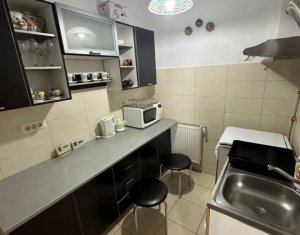 Maison 4 chambres à louer dans Cluj-napoca, zone Marasti