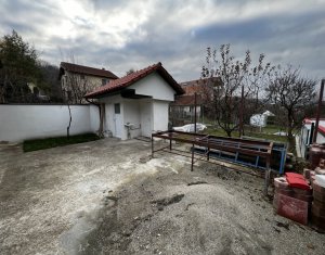 Iroda kiadó on Cluj-napoca, Zóna Gruia
