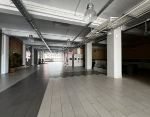 Commercial space for rent, 445m2 in Cluj-napoca, zone Centru