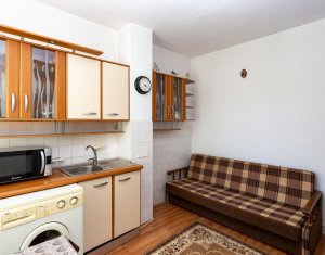 Appartement 1 chambres à louer dans Cluj-napoca
