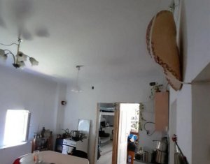 Maison 2 chambres à vendre dans Cluj-napoca, zone Iris