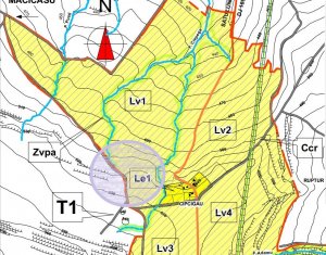 Land for sale in Padureni (chinteni)