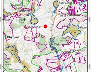 Teren in Macicasu - Chinteni, 2900 mp, intravilan, Lv2 - viitoare constructii