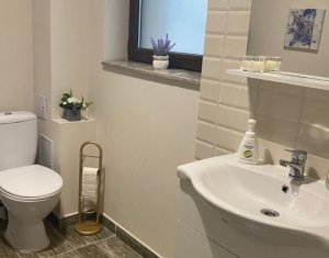 Maison 4 chambres à vendre dans Cluj-napoca, zone Borhanci