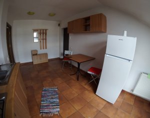 Appartement 1 chambres à vendre dans Cluj-napoca, zone Manastur