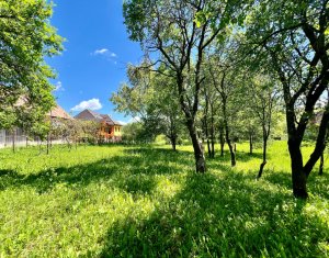 Ház 4 szobák eladó on Filea De Sus, Zóna Centru