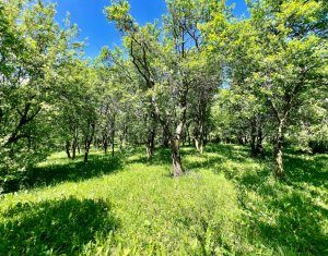 Ház 4 szobák eladó on Filea De Sus, Zóna Centru